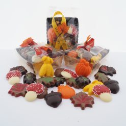 Herfstchocolaatjes